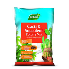 Succulents represent a broad category of plants among which cacti are just one of the the survival and growth of succulents and cacti vary widely as different species are native to varying environments. Westland Cacti Succulent Potting Mix Succulent Soil Cactus Compost On Onbuy