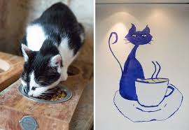 Hip Paris Blog Le Cafe Des Chats Cat Cafe Arrives In Paris Cat Cafe Cats Paris