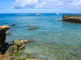 Pin By Margo Aughe On Places Visited In 2021 Electric Beach Oahu Electric Beach Snorkeling