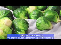 We did not find results for: How To Freeze Brussels Sprouts Youtube