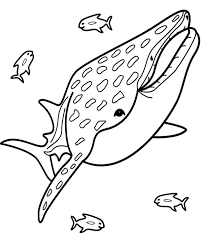 Big Whale Coloring Page To Print For Free Fish Coloring Page Free Coloring Page Template Prin Whale Coloring Pages Shark Coloring Pages Monkey Coloring Pages