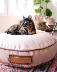 Your hunt for a supremely classy. Inspiration Guide To Buying A Long Lasting Dog Bed