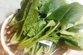 ほうれん草とチーズと牡蠣のクリーミーなグラタン 旬の野菜レシピ