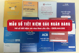 Chứng minh tài chính bằng sổ tiết kiệm thế nào để đậu visa?