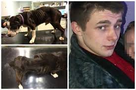 AnimalRights (@0pfunK1ll)