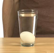 كب ر د ماغ ك Kabbar Demaghak البيضة الطافية