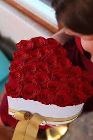 We did not find results for: D Luxury Long Lasting Roses In A Box Preserved Flowers Big Heart