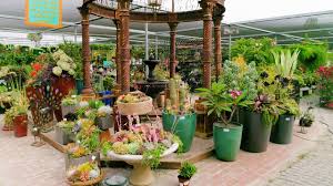 Everyone thinks of southern california as a beach area and it does not disapoint. Marina Del Rey Garden Center