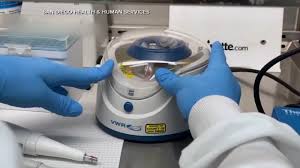 Maybe you would like to learn more about one of these? How Long Coronavirus Test Results Take To Come Back From Various Testing Options Available To You Abc13 Houston