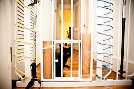 Milwaukee Bilim Woods Hole Kedi