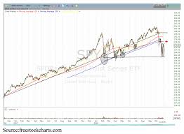 Will Bears Bite Back After The Big Bounce