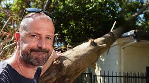 Fallen tree proves ongoing headache