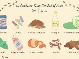 Right after you have set out poisonous bait targeted to the ants' taste, you will probably see an increase in. How To Get Rid Of Ants Cheaply And Naturally