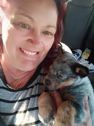 Looking for old care bear babies Offering in comments