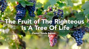 Nebuchadnezzar, a pastor of babylon, was also portrayed as a tree (a wild vine and the tree of good and evil). The Fruit Of The Righteous Is A Tree Of Life Pastor Tunde Bakare Youtube