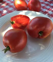 Its reliable production combined with an excellent disease resistance package, including alternaria stem canker, make it an almost perfect tomato. Grightmire S Pride Tomato Seeds Tomatofest Organic