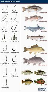 How To Catch Your Next Big Fish Fish Fishing Tips Freshwater Fish