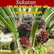 Review baja air ezigrow sebelum semburan baja dilakukan. Sukatan Baja Ezigrow Untuk Tanaman Easy To Grow Baja Facebook