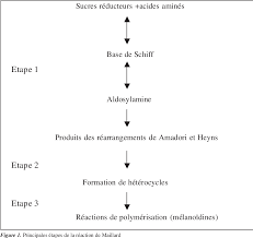 La Reaction De Maillard Importance Et Applications En Chimie Des Aliments Semantic Scholar