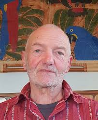 COMITÉ DE SECTION : SEV PV