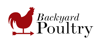 Backyard chickens have skyrocketed in popularity. Backyard Poultry