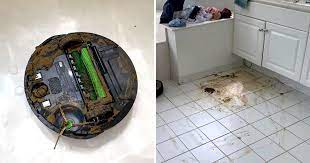 However, we may earn affiliate. Roomba Irobot Steps On Dog Poo Vacuums It All Over The House Metro News