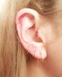 14k cartilage, daith, helix, tragus earrings, 14k belly button rings, nose rings Daith Hoop Single Willow And Stag