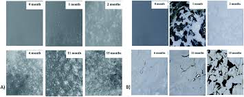 Hints & instruction sheets £1.00 extra. Poly Lactic Acid Pla And Polyhydroxyalkanoates Phas Green Alternatives To Petroleum Based Plastics A Review Rsc Advances Rsc Publishing Doi 10 1039 D1ra02390j
