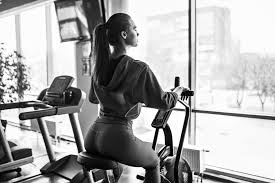 Schwinn airdyne replacement seat pin. The Schwinn Ad6 Airdyne Exercise Bike An In Depth Review The Home Gym