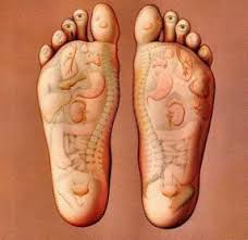 Reflexology Foot Massage Technique With A Foot Massage Chart