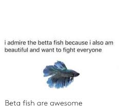 The last time the tank was cleaned all were accounted for there is no dead fishy anywhere in the tank, trust me i've checked. 25 Best Memes About Dead Fish Meme Dead Fish Memes