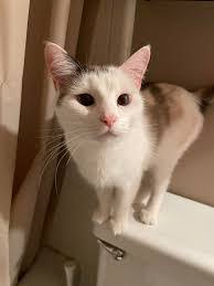 Stephanie Nunya's Instagram, Twitter & Facebook