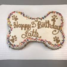Spread and share happiness with paris bakery even when your near & dear one's staying miles away, feel delighted to. Pet Bakery Near Me Off 63 Www Usushimd Com