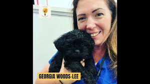 Reflections 1 year after vet school