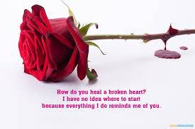 wallpapers of love hurts 9z45lr5 picserio com wallpapers of love hurts 9z45lr5