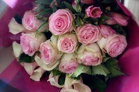 We did not find results for: 9 Kreasi Buket Bunga Indah Untuk Kekasih