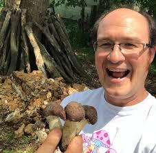 May: Into the Woods!