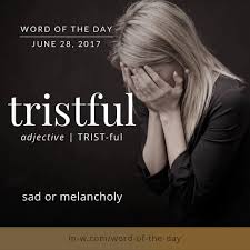 The Wordoftheday Is Tristful Merriamwebster Dictionary Language Weird Words Uncommon Words Dictionary Words