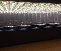 Build My Own Led Hydroponic Grow Light Search Results Led Strips Diy Led Diy Grow Lights