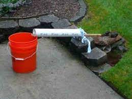 How to build a squirrel trap. Jungle Ghost 39 S Chipmunk Control Solution Effective And Squirrel Proof Chipmunk Trap Chipmunks Squirrel Repellent