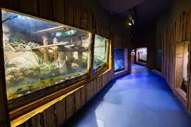 Grande Nouveaute Au Parc Phoenix De Nice L Insectarium Parc Phoenix Nice Nice Bambouseraie