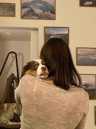 Organised crime gangs have stepped up pet thefts since the start of the coronavirus pandemic to cash in on rising prices for dogs and puppies. 50 Shameless Pets That Stole Their Owners Partners And Didn T Even Feel Sorry About It Bored Panda