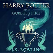 Harry Potter And The Goblet Of Fire Book 4 Goblet Of Fire Fire Book Harry Potter Goblet