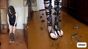 Crush fetish Sandals Thongs @CrushThongs - Twitter Profile | Sotwe