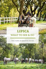 Lipica One Of The Oldest Stud Farms In Europe In 2020 Wild Waters Stud Farm Places To Go
