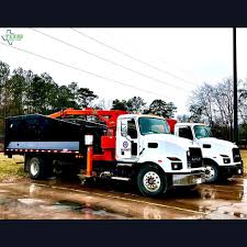 Profile for Mike Sandifer