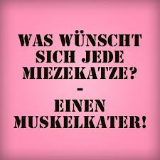 Was Wunscht Sich Jede Miezekatze Einen Muskelkater Spruche Lustige Spruche Witzige Spruche