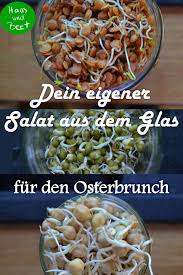 Sprossen Salat Gemuse Aus Dem Glas Haus Und Beet Rezepte Salate Gemuse Lebensmittel Essen