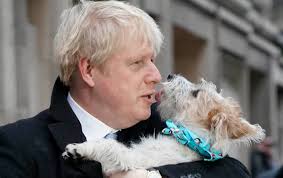 While Afghans Tried to Flee, Boris Johnson… Saved Dogs?