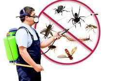 When you call arizona pest solutions, one of our bed bug specialists conducts a thorough inspection, looking for evidence of an infestation. 15 Bed Bugs Ideas Bed Bugs Pest Control Bug Control